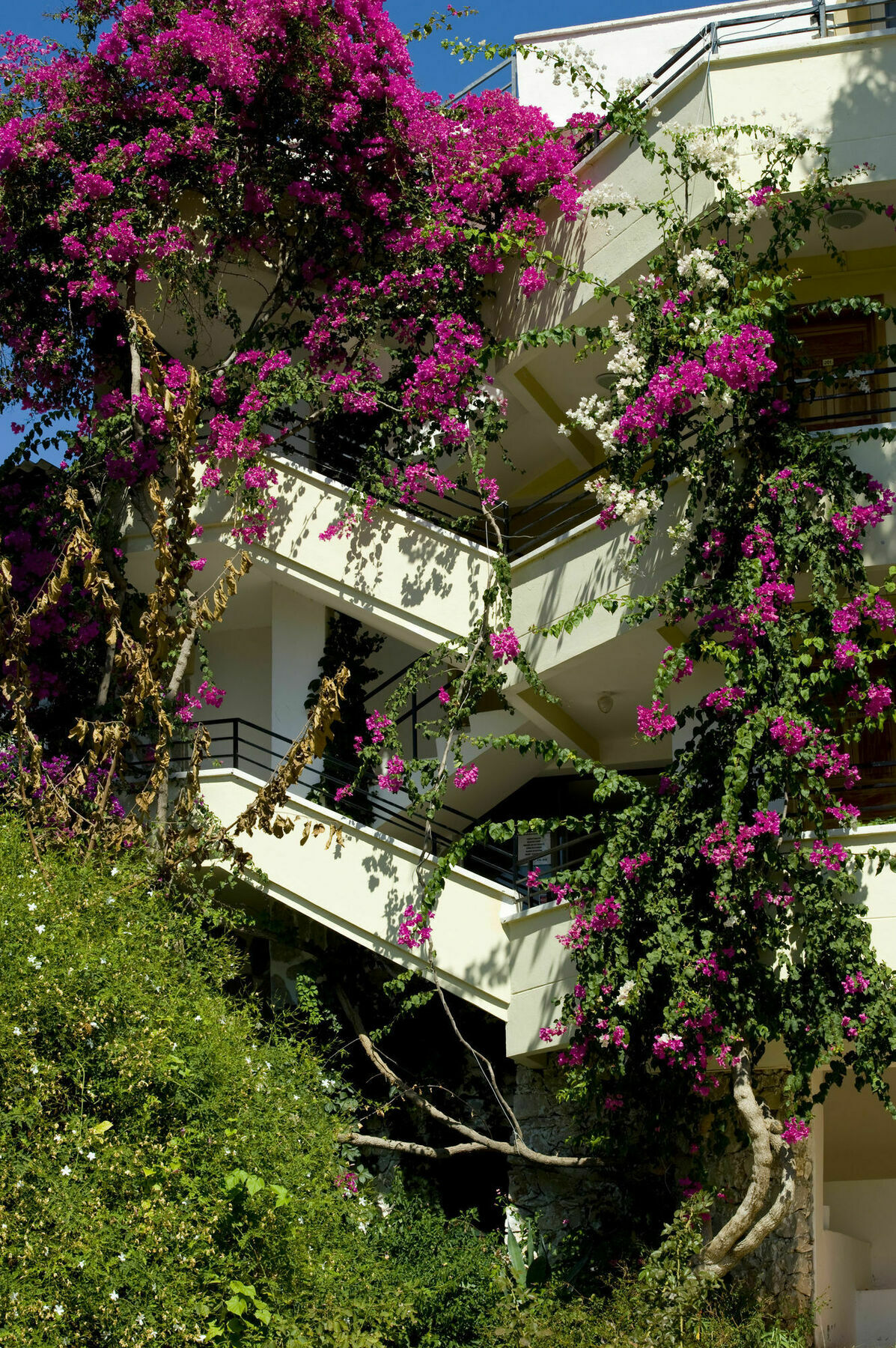 Pataros Hotel Patara Exterior photo